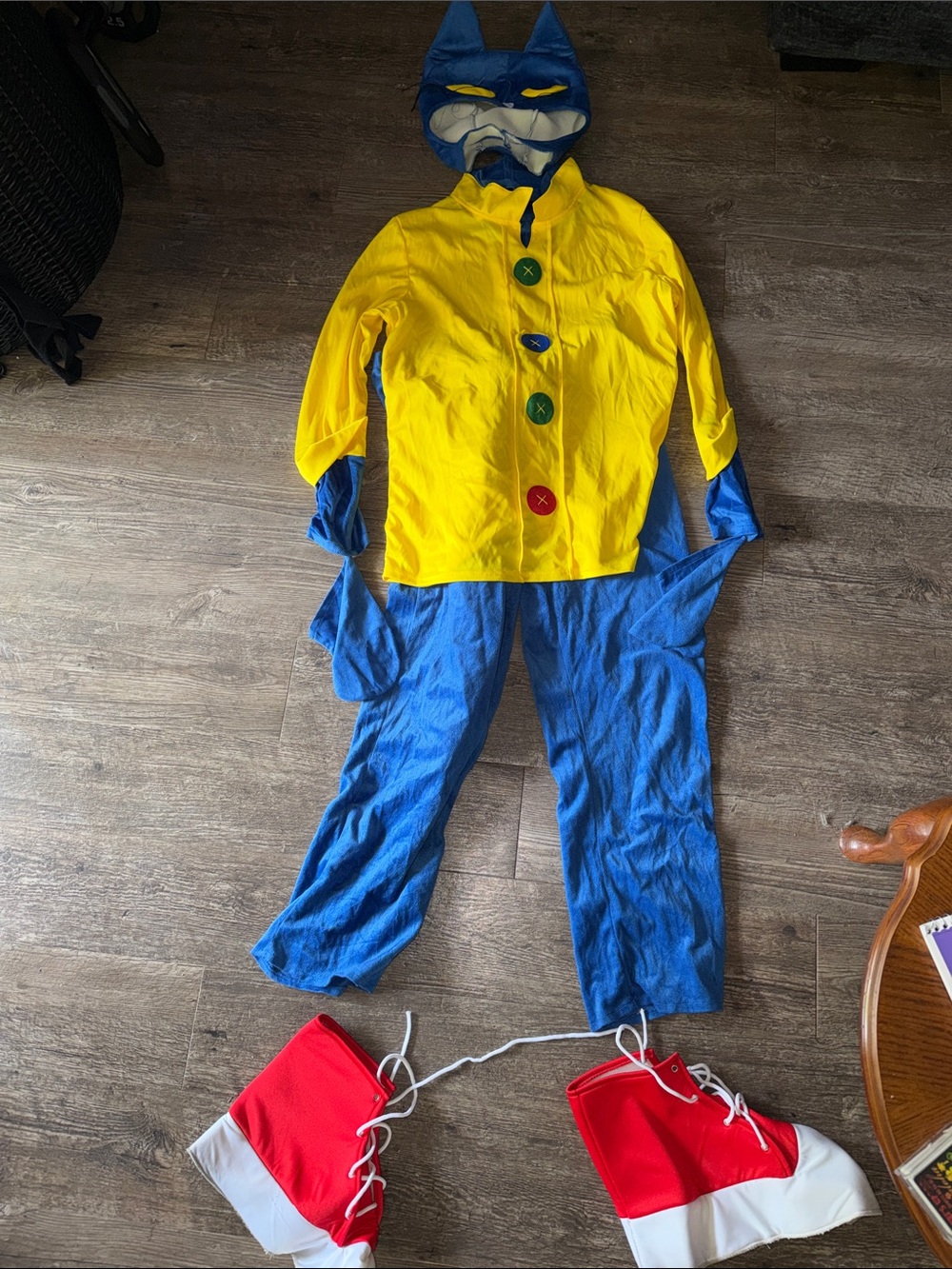 Pete the Cat Costume!